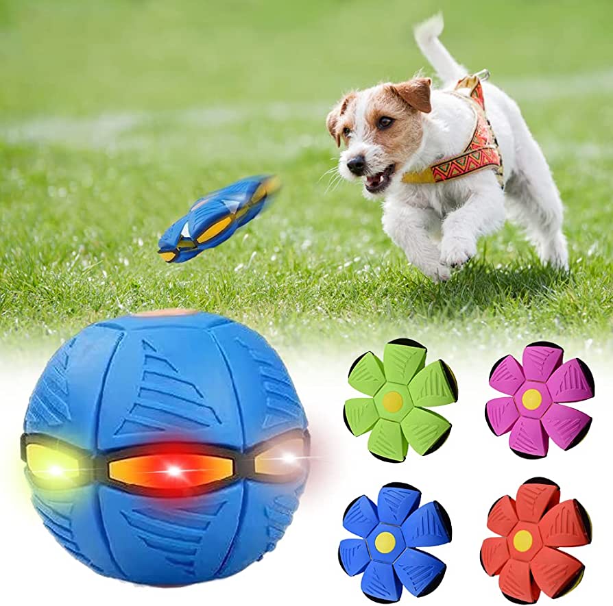 Dog Frisbee Toy