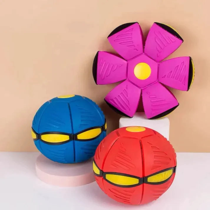 Dog Frisbee Toy