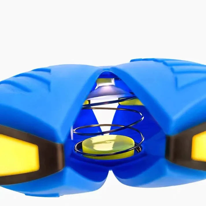 Dog Frisbee Toy