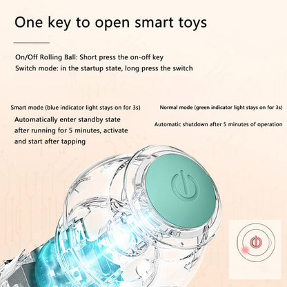 Interactive Dog Ball Toy