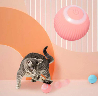 Interactive Dog Ball Toy