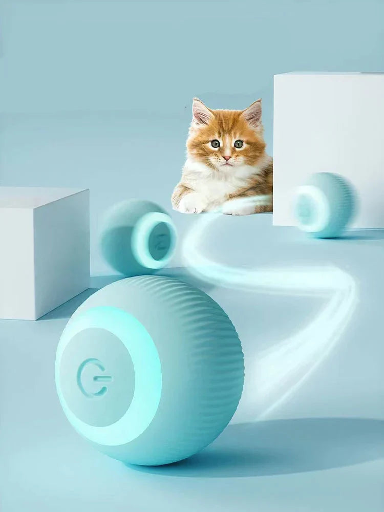 Interactive Dog Ball Toy