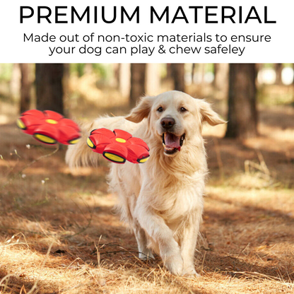 Dog Frisbee Toy