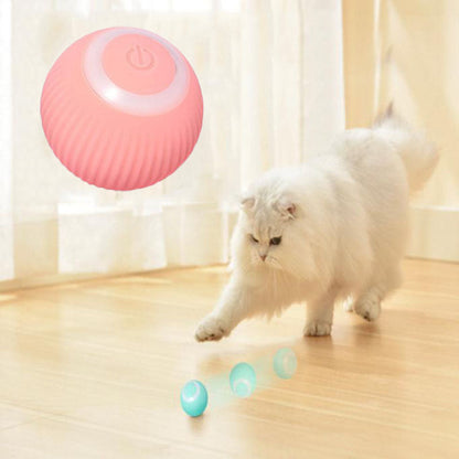 Interactive Dog Ball Toy