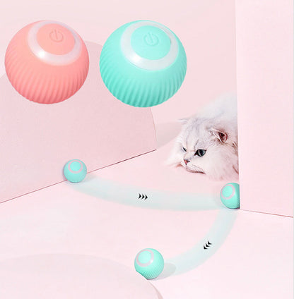 Interactive Dog Ball Toy